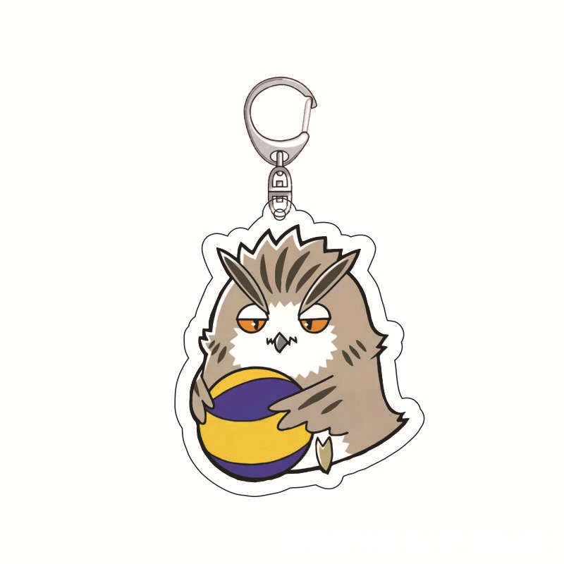 سلسلة مفاتيح أنمي هايكيو، تعلي - مراجعة Anime Merchandise Keychains وسعره